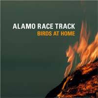 Alamo Race Track : Birds At Home